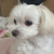 Profile picture small