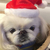 Profile picture small