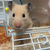 Profile picture small