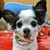 Profile picture small