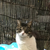 Profile picture small