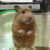 よっこ