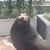 Profile picture small