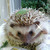 Profile picture small