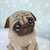 Profile picture small