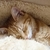 Profile picture small
