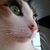 Profile picture small