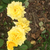 Profile picture small