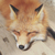 Profile picture small