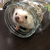 Profile picture small