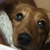 Profile picture small