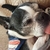 Profile picture small