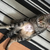 Profile picture small