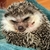 Profile picture small