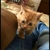 Profile picture small