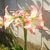 Profile picture small