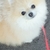 Profile picture small