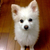 Profile picture small
