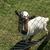 Profile picture small