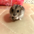 Profile picture small