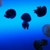 Profile picture small