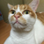 Profile picture small