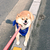 Profile picture small