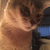 Profile picture small