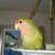 Profile picture small