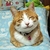 Profile picture small