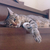Profile picture small