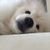 Profile picture small
