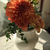 Profile picture small