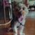 Profile picture small