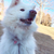 Profile picture small