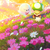 Profile picture small
