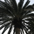 Profile picture small