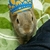 Profile picture small