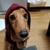 Profile picture small