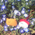 Profile picture small