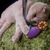 Profile picture small