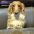Profile picture small
