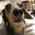Profile picture small