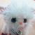 Profile picture small