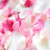 Profile picture small
