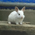 Profile picture small