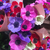 Profile picture small