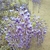 Profile picture small