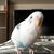 Profile picture small