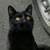 Profile picture small